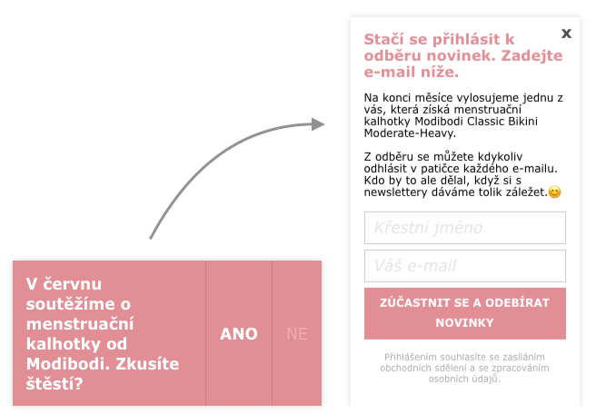 Ukázka pop-upu s lead magnetem