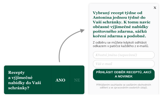 Ukázka pop-upu s lead magnetem