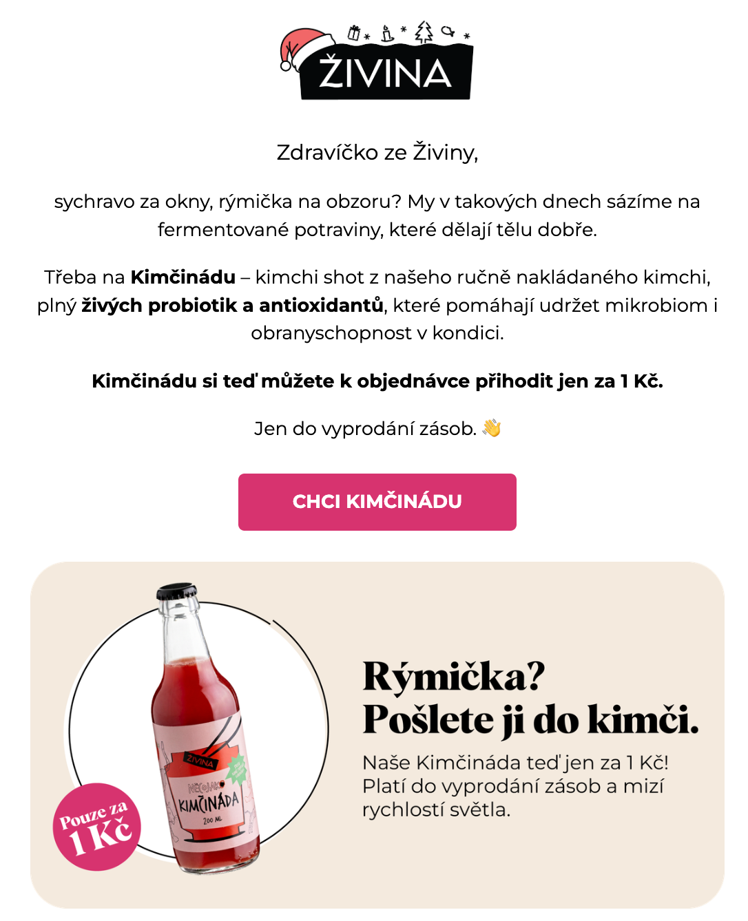Ukázka newsletteru klienta Zivina.cz