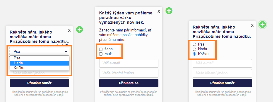 Formuláře pro ještě lepší personalizaci