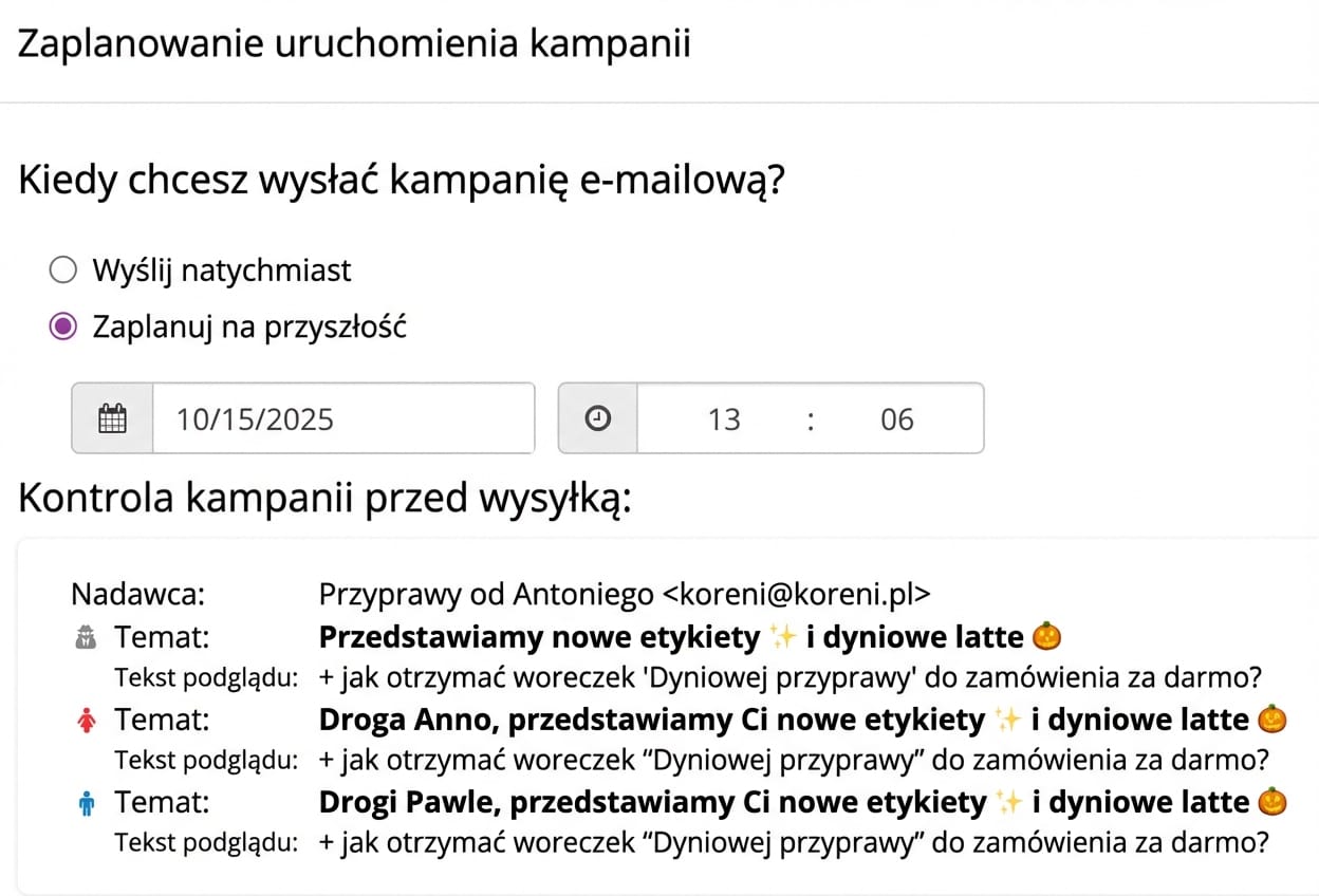 Planujesz wysyłkę na konkretną datę i godzinę albo wysyłasz od razu.