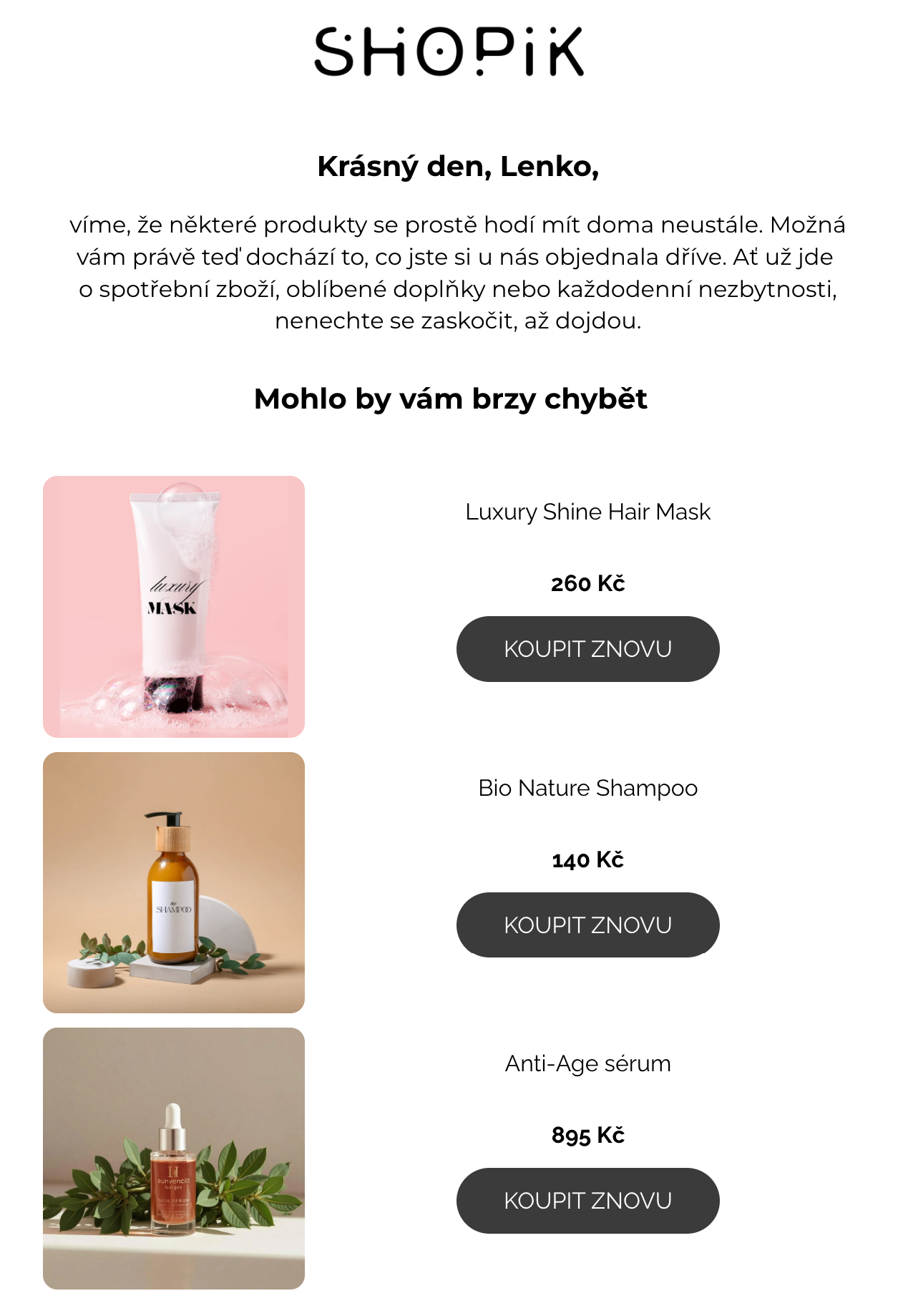 Automatický e-mail pro RFM segment Loyal Customers v Leadhubu