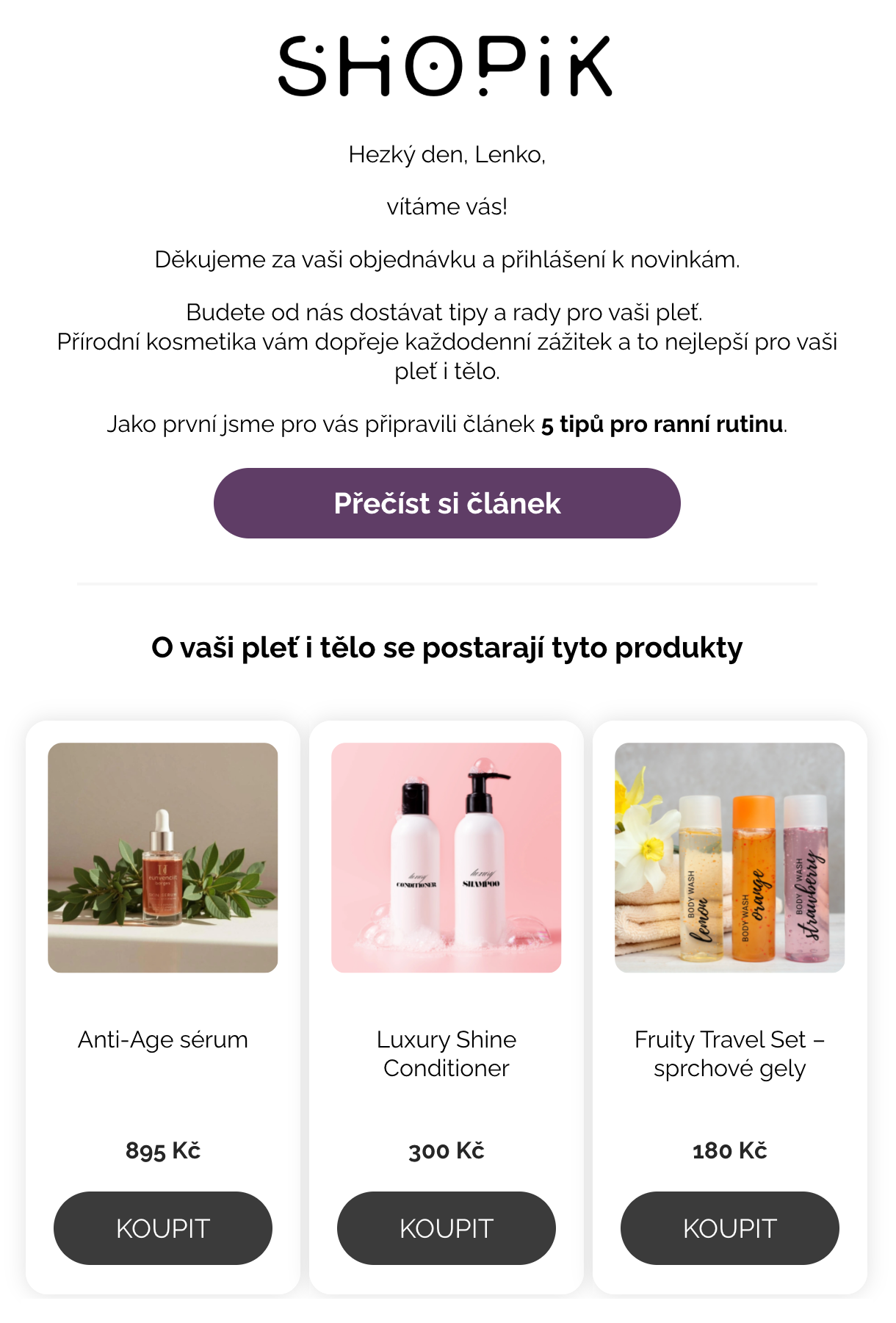 Automatický e-mail pro RFM segment Potential Loyalists v Leadhubu