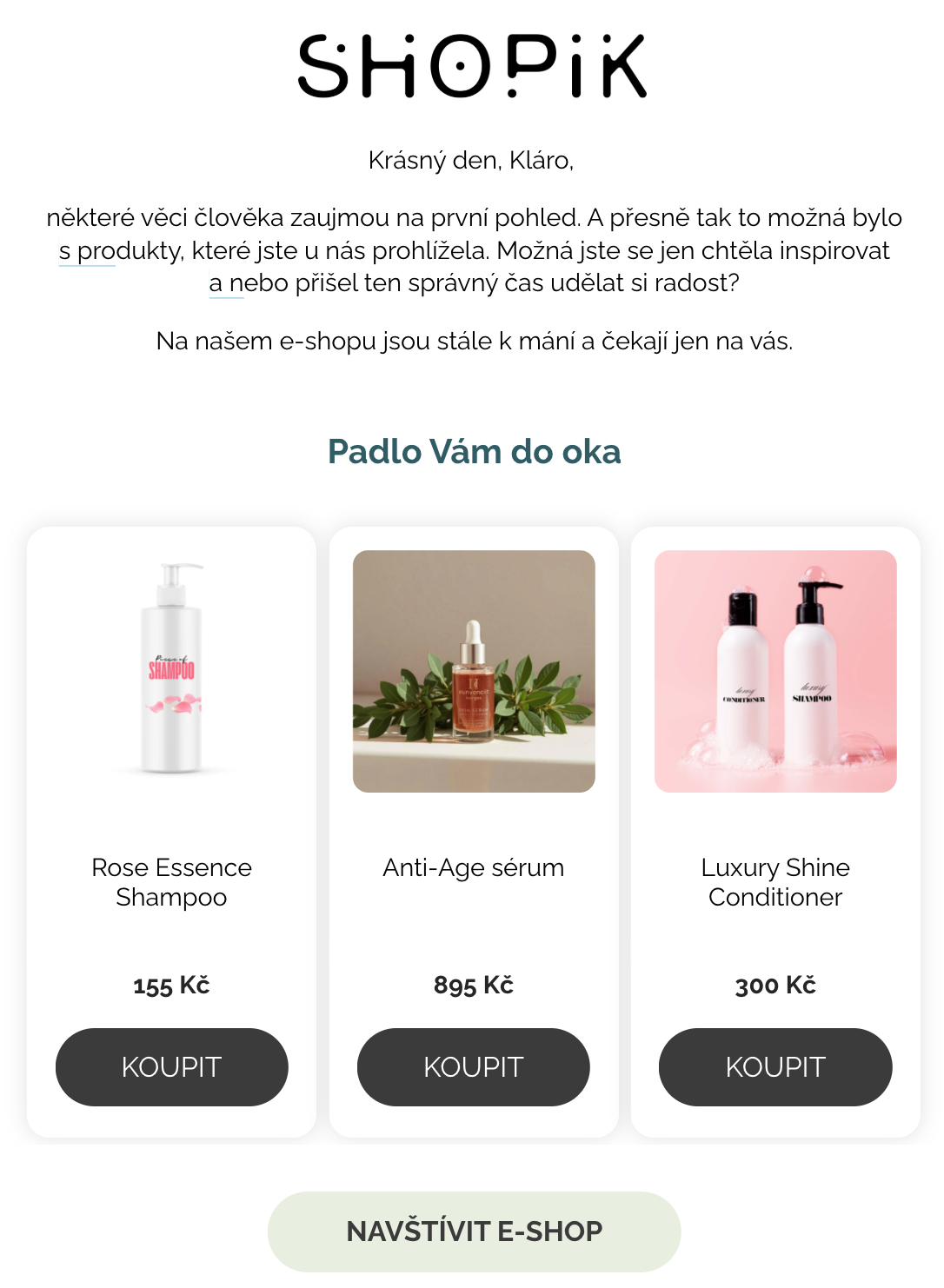 Ukázka kampaně prohlížené produkty v Leadhubu
