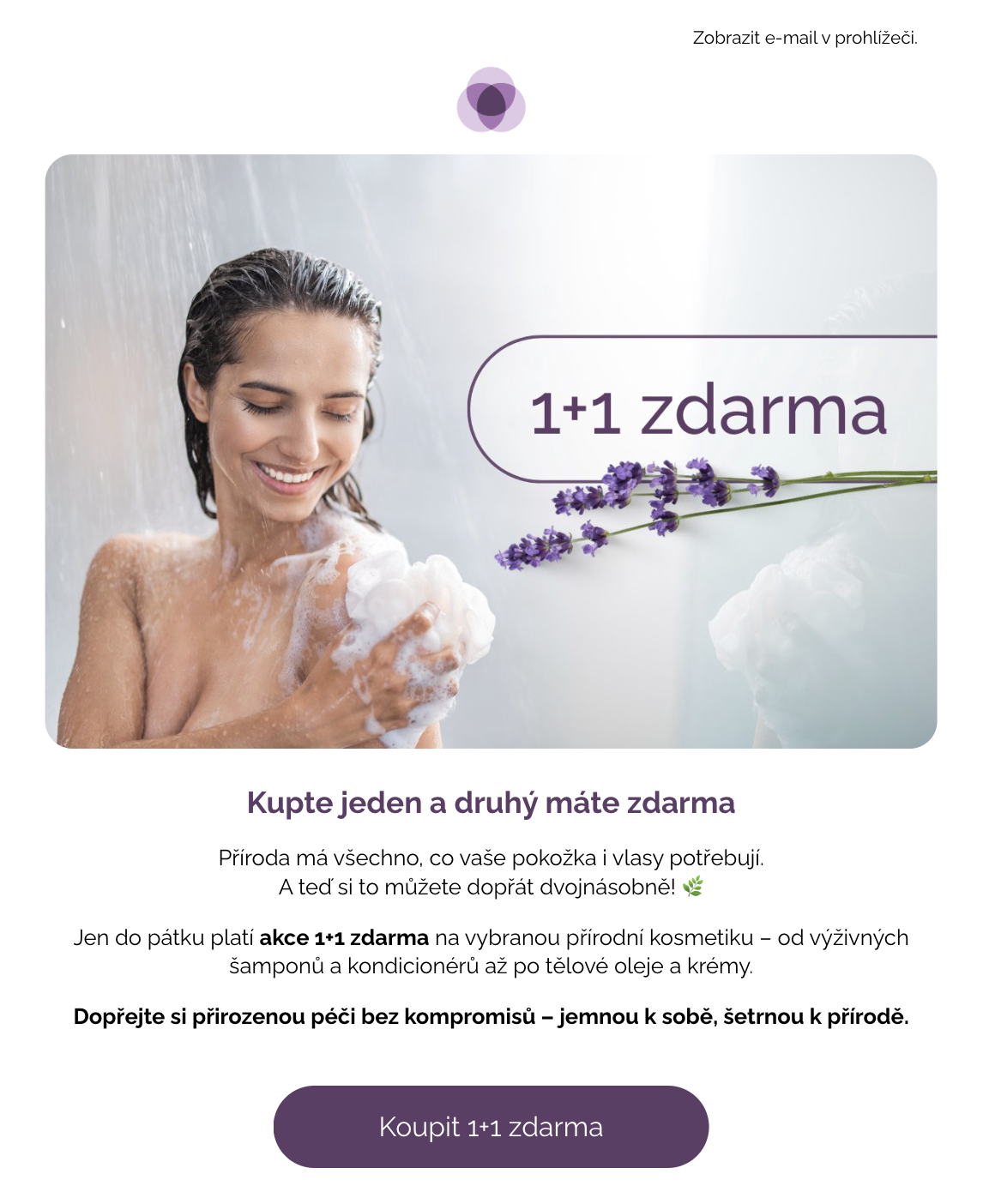 Ukázka newsletteru v Leadhubu